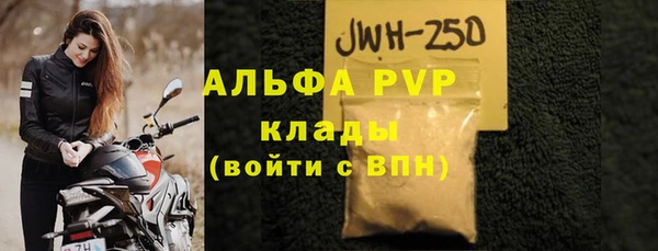 эйфоретик Бородино