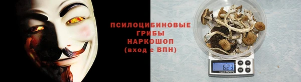 эйфоретик Бородино