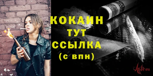 эйфоретик Бородино